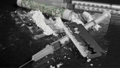 网上说教授制贩丧尸药是真的吗?