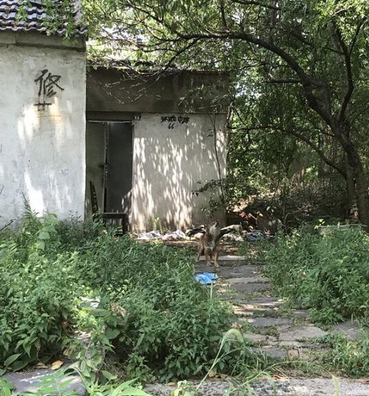 独居男子家中身亡？无人发现身体已腐烂